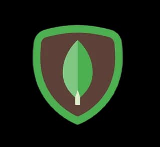 Explore serverless MongoDB Atlas migration, MySQL to MongoDB conversion, SQL integration, Strapi deployment, DockerHub usage,nosql database, and Firebase integration at JavaTpoint.