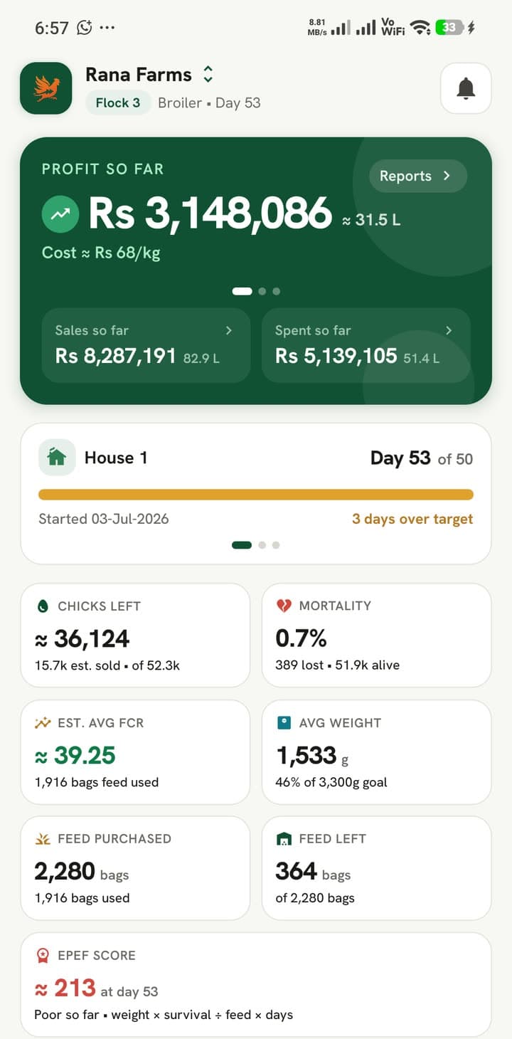 The PoultryFast app's Home screen: profit so far, flock day, chicks left and mortality